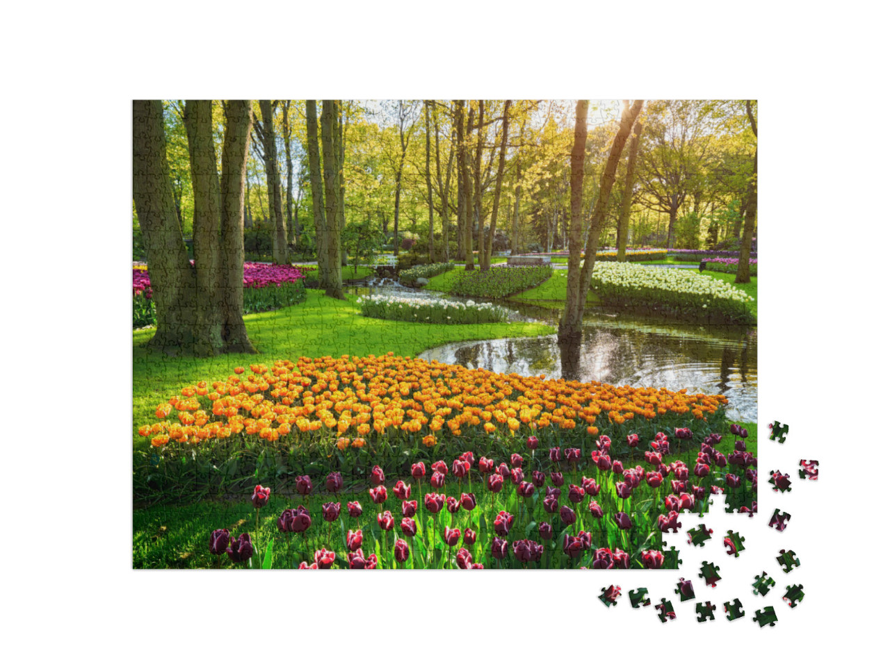 Puzzel 1000 stukjes „Tulpenbed in Keukenhof, Lisse, Nederland“