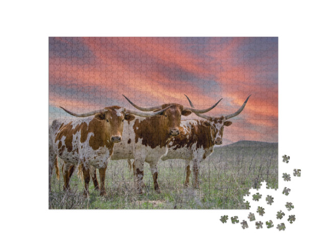 Puzzel 1000 stukjes „Texas longhorn vee op een weide in de Oklahoma Panhandle“