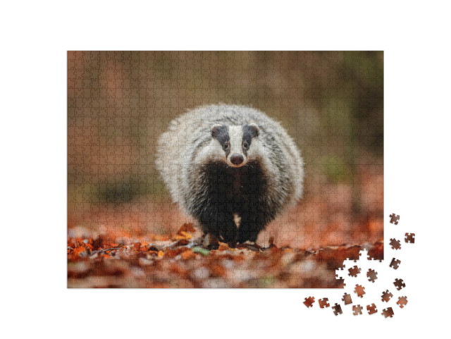 Puzzel 1000 stukjes „Das in het bos“