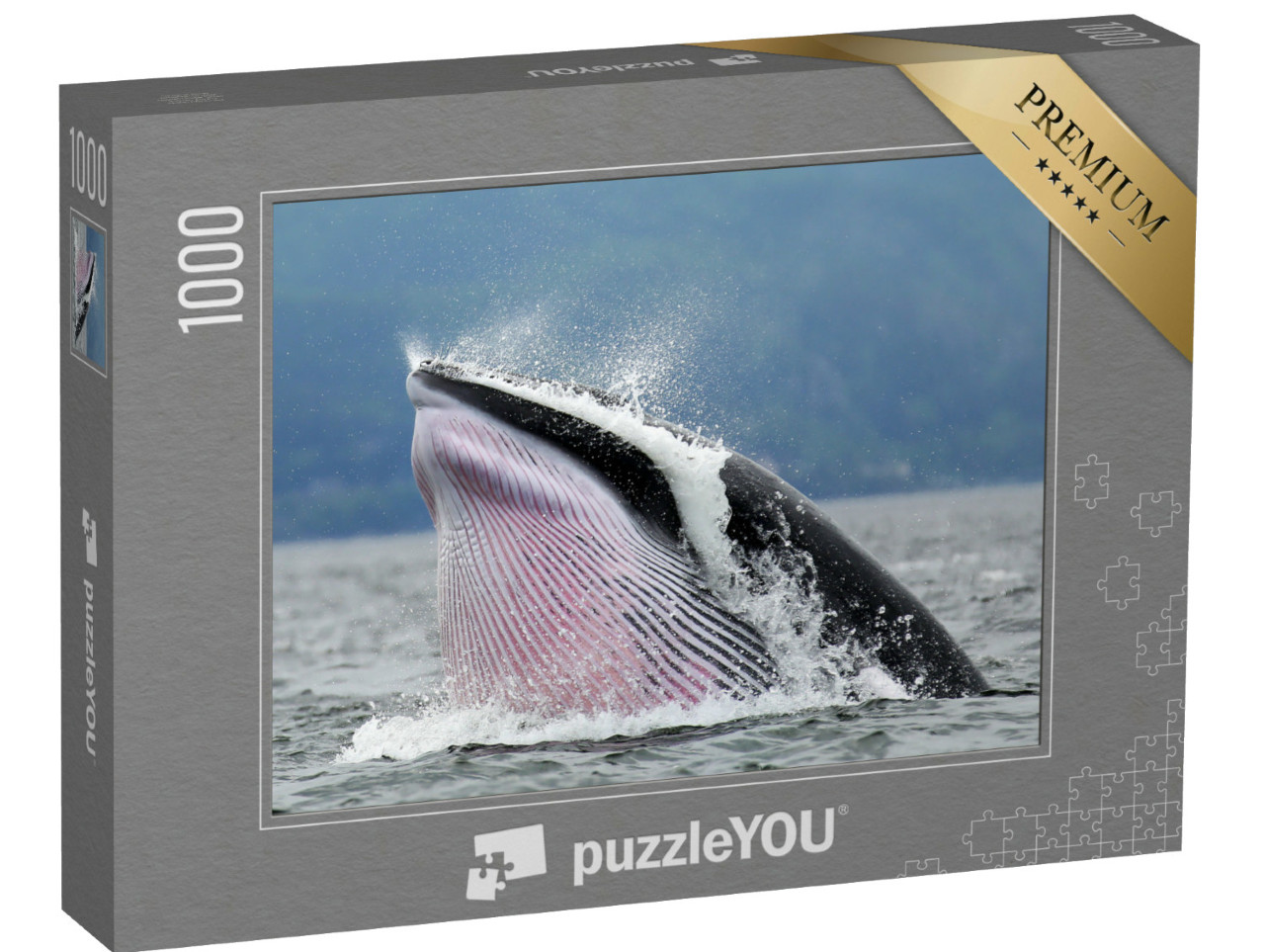 Puzzel 1000 stukjes „Dwergvinvis in Tadoussac Québec“