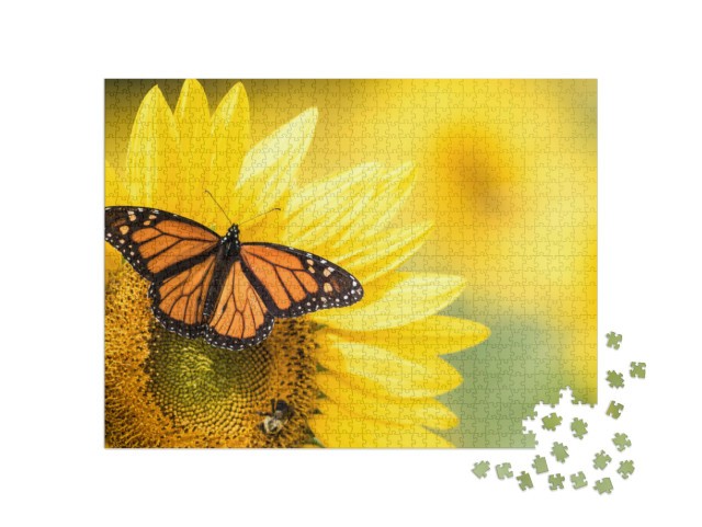 Puzzel 1000 stukjes „Monarchvlinder, Danaus Plexippus, op een zonnebloem“