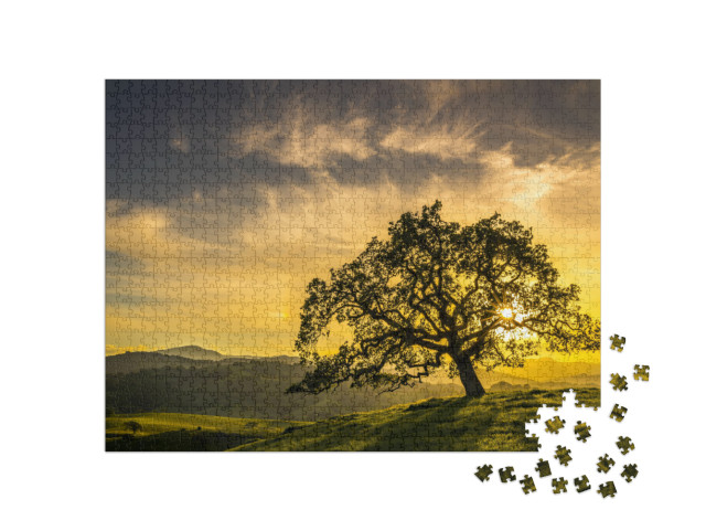 Puzzel 1000 stukjes „Zonsondergang door een eikenboom bij San Jose, Californië“