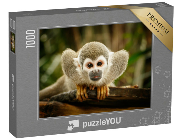 Puzzel 1000 stukjes „Doodshoofdaapjes in het Amazonegebied“