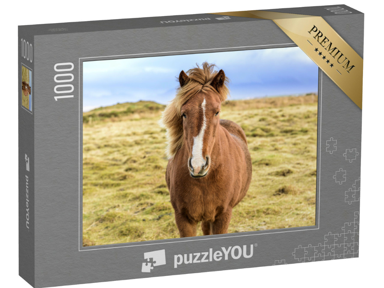 Puzzel 1000 stukjes „IJslandse pony in het wild“