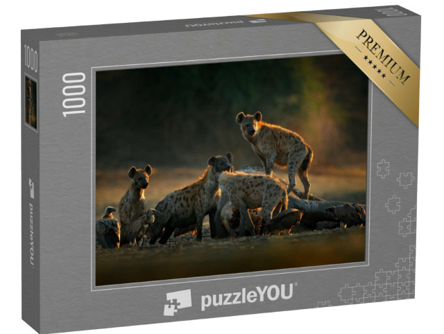 Puzzel 1000 stukjes „Hyena's en gieren bij het olifantenkarkas, Zimbabwe“