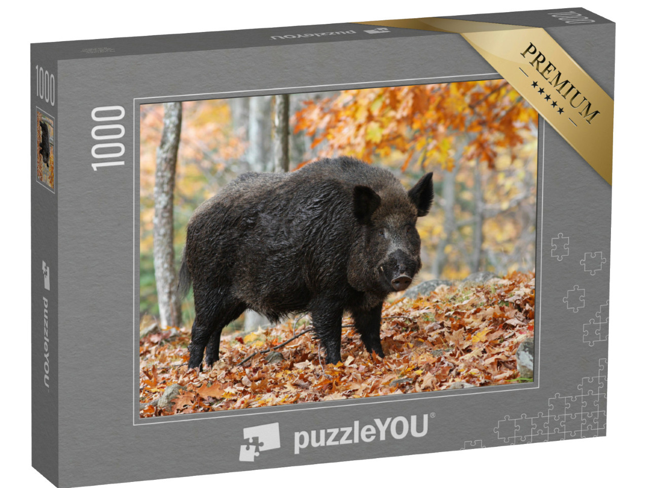 Puzzel 1000 stukjes „Mannelijk everzwijn in het herfstbos“