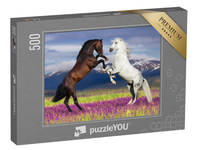 Puzzel 500 stukjes „Wilde schoonheid: twee dansende paarden“