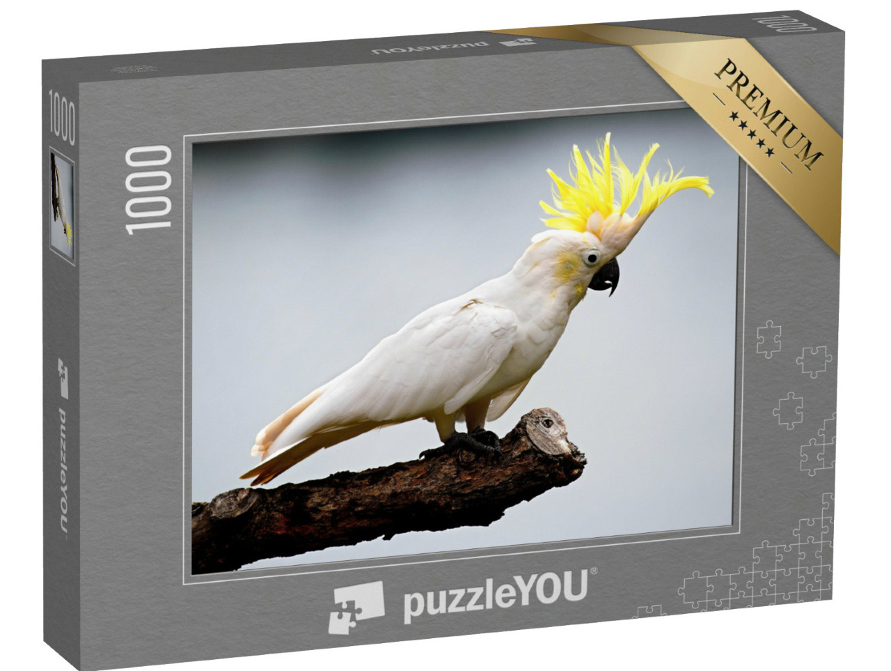 Puzzel 1000 stukjes „Kaketoe“