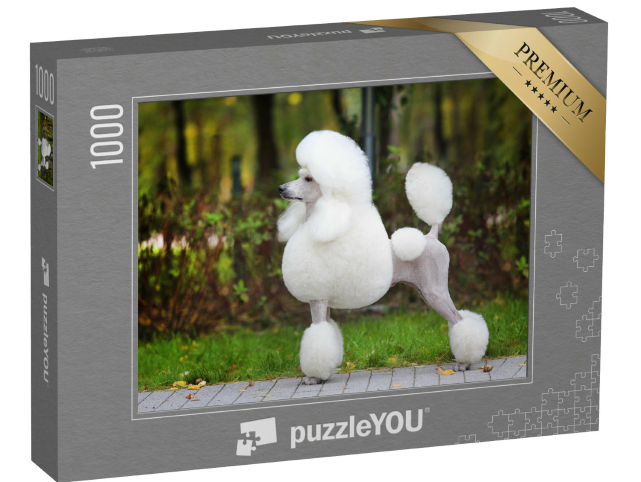 Puzzel 1000 stukjes „Koningspoedel in het park“