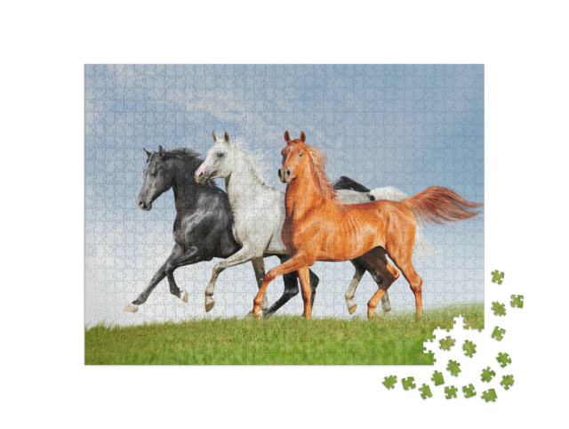 Puzzel 1000 stukjes „Drie Arabische paarden“