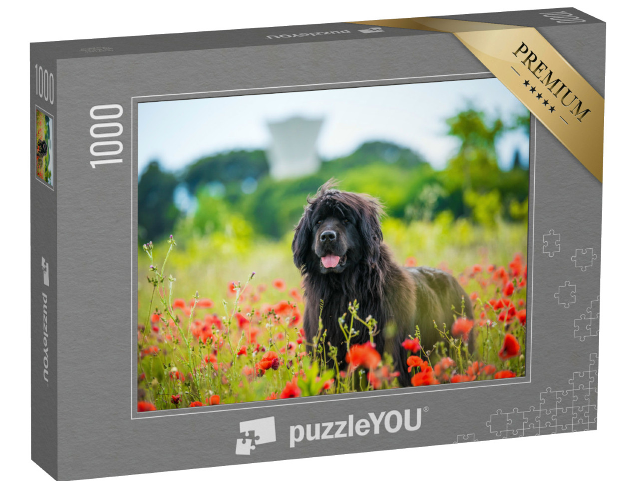 Puzzel 1000 stukjes „Newfoundland in rode klaprozen“