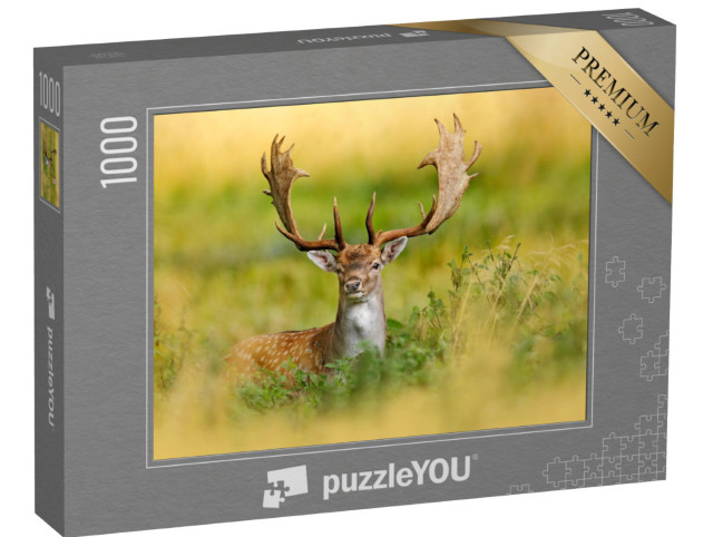 Puzzel 1000 stukjes „Majestueuze damherten in het herfstbos, Dyrehave, Denemarken“