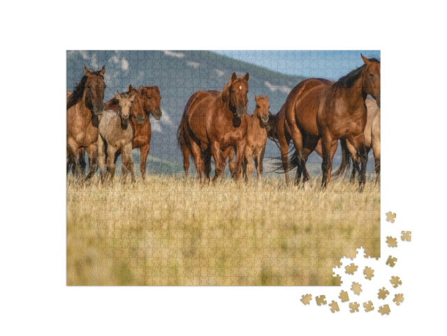 Puzzel 1000 stukjes „Kudde quarter horses op een grasvlakte voor de Pryor Mountains, Montana“