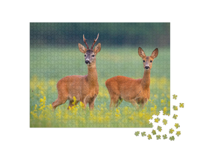Puzzel 1000 stukjes „Reeën in een veld vol gele wilde bloemen“