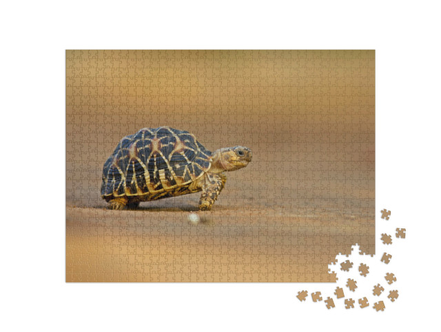Puzzel 1000 stukjes „Indische sterschildpad“