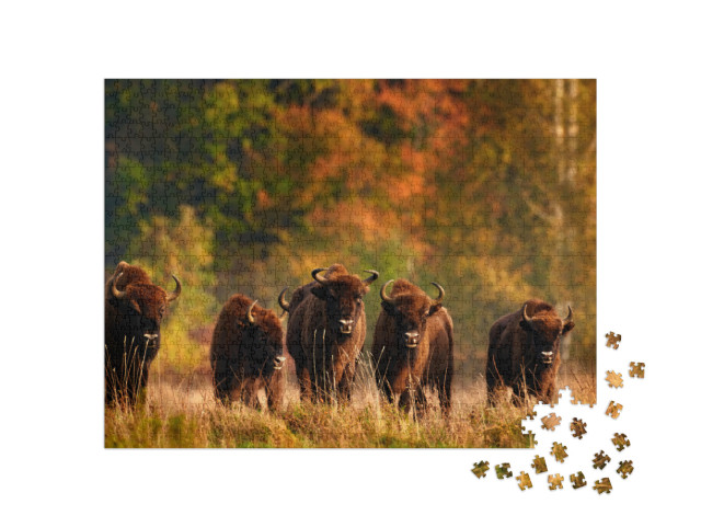 Puzzel 1000 stukjes „Herfstbos met weidekudde in Polen“
