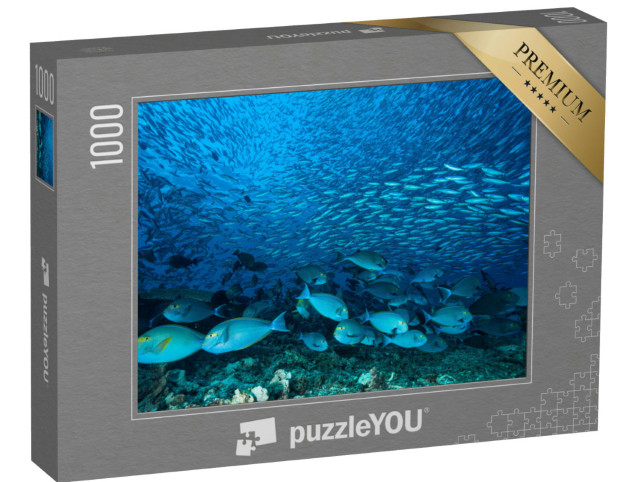 Puzzel 1000 stukjes „Enorme school blauwe surgeonvissen op het rif“