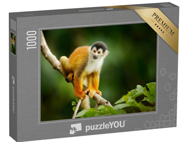 Puzzel 1000 stukjes „Doodshoofdaapje, Saimiri oerstedii, Costa Rica“