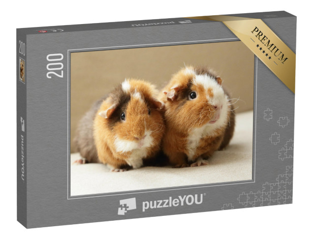 Puzzel 200 stukjes „Twee schattige cavia's“