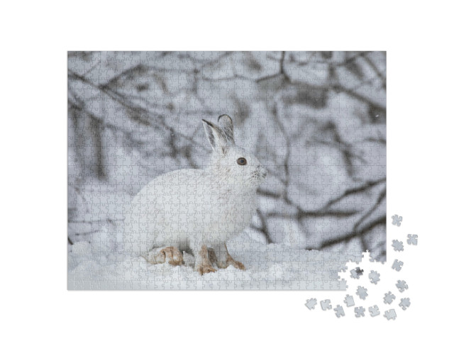 Puzzel 1000 stukjes „Witte berghaas in de Canadese winter“