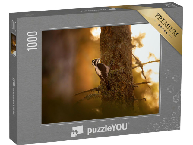 Puzzel 1000 stukjes „Drieteenspecht op zoek naar voedsel“