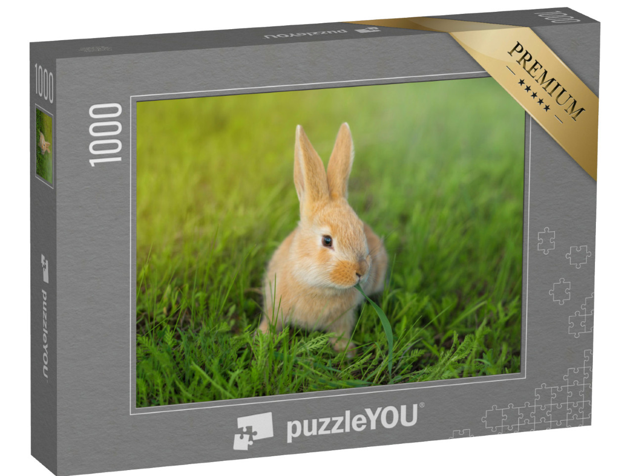 Puzzel 1000 stukjes „Schattig konijn kauwend in het groene gras“