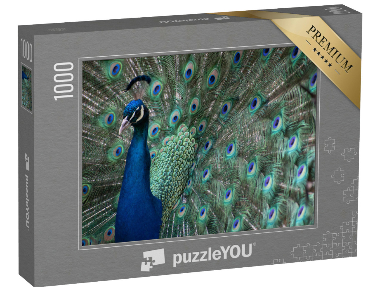 Puzzel 1000 stukjes „Een pauw met verlengde veren“