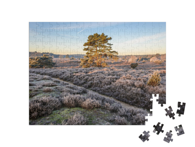 Puzzel 200 stukjes „Wandelpad door een heidelandschap in de landelijke Nederlandse provincie Drenthe“