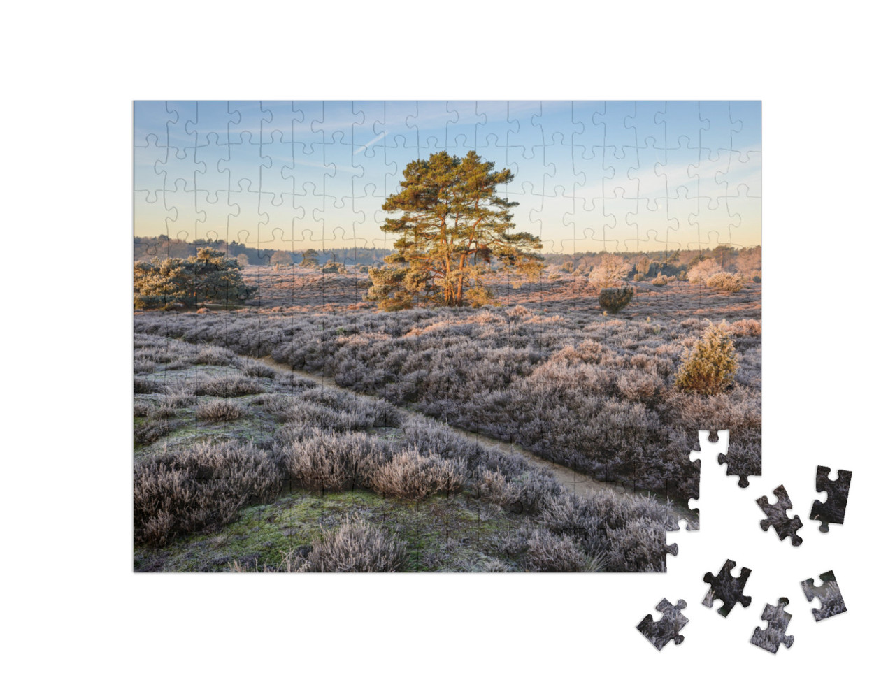 Puzzel 200 stukjes „Wandelpad door een heidelandschap in de landelijke Nederlandse provincie Drenthe“