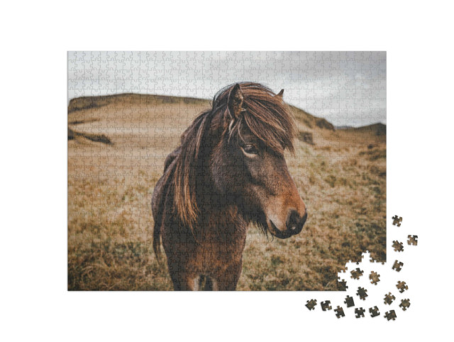 Puzzel 1000 stukjes „Close-up van een IJslands paard“