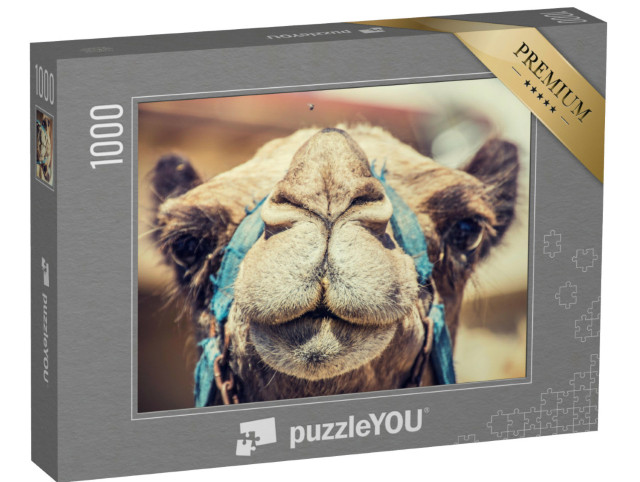 Puzzel 1000 stukjes „Close-up van een kameel“