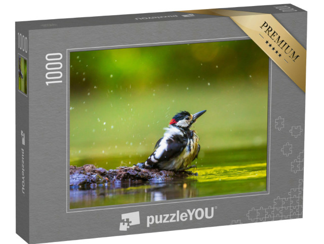 Puzzel 1000 stukjes „Close-up van een grote bonte specht badend in het bos“