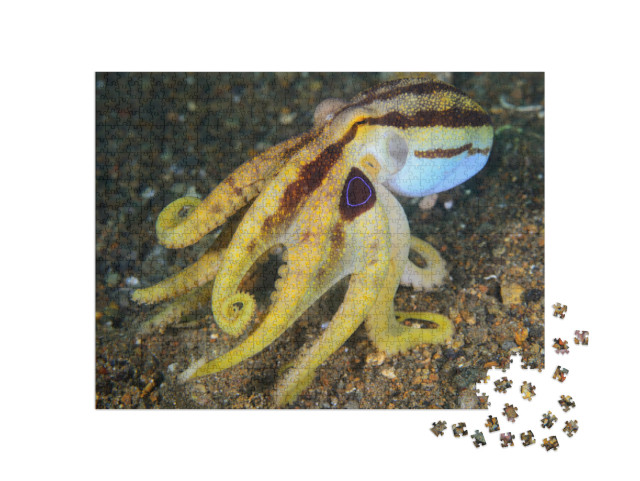 Puzzel 1000 stukjes „Giftige gele octopus op de zeebodem“