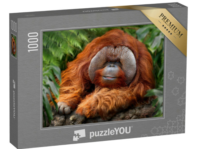 Puzzel 1000 stukjes „Tropisch regenwoud met orang-oetans“