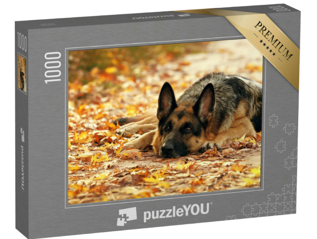 Puzzel 1000 stukjes „Duitse herdershond liggend in het herfstbos“