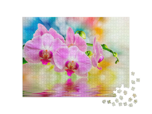 Puzzel 1000 stukjes „Close-up van een orchidee“