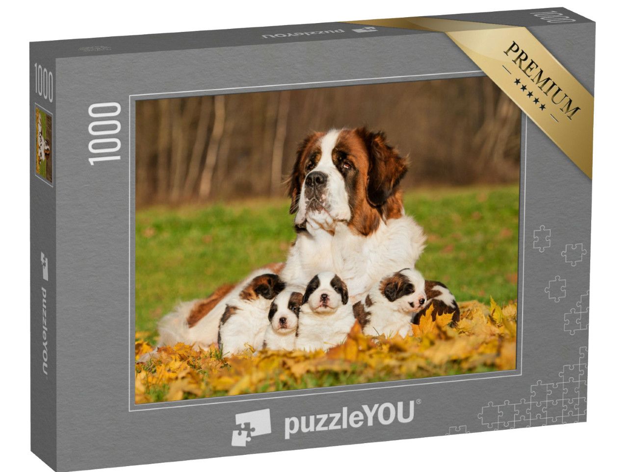 Puzzel 1000 stukjes „Sint Bernard met puppies in de herfst“