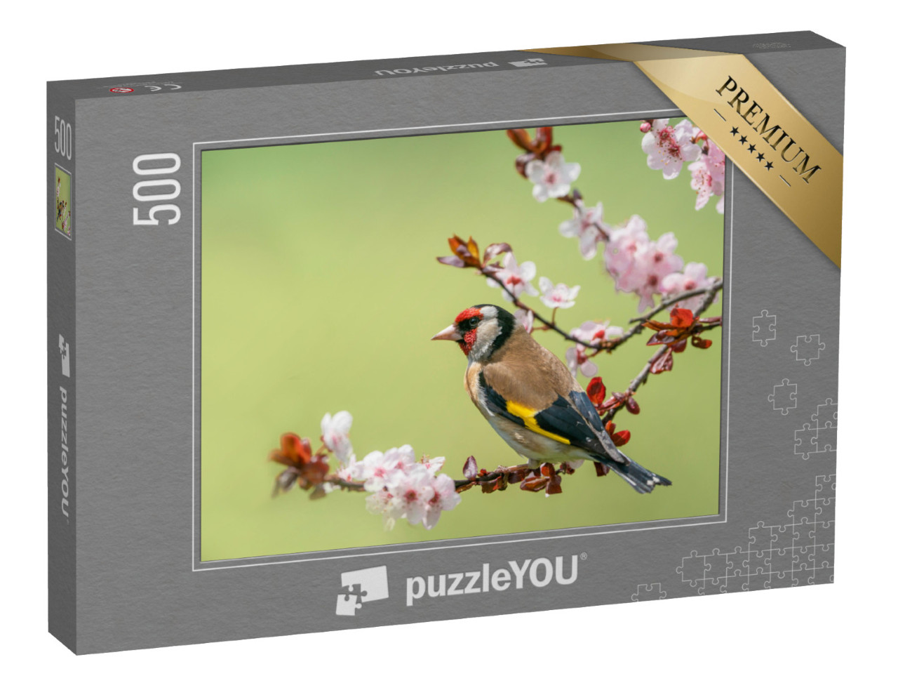 Puzzel 500 stukjes „Kleurrijke distelvink op een bloeiende tak“