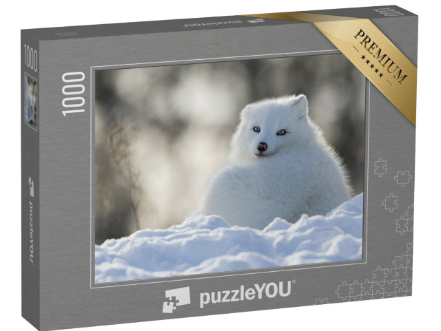 Puzzel 1000 stukjes „Poolvos met doordringende blauwe ogen“