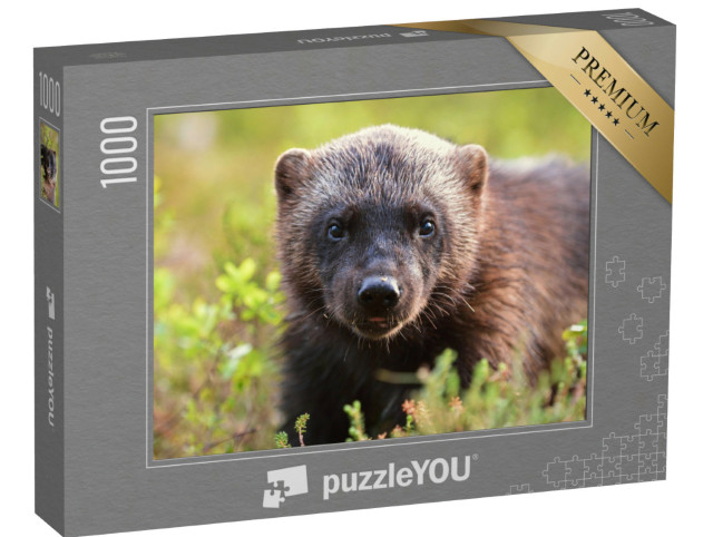 Puzzel 1000 stukjes „Portret van een veelvraat“