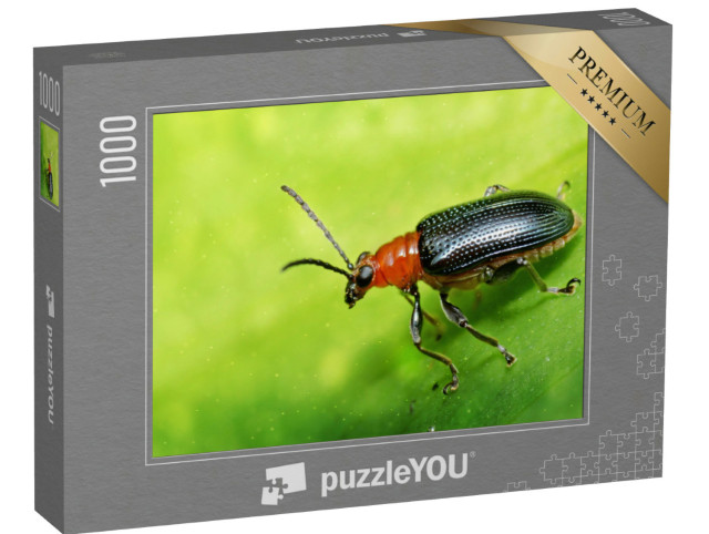 Puzzel 1000 stukjes „Zwarte kever“