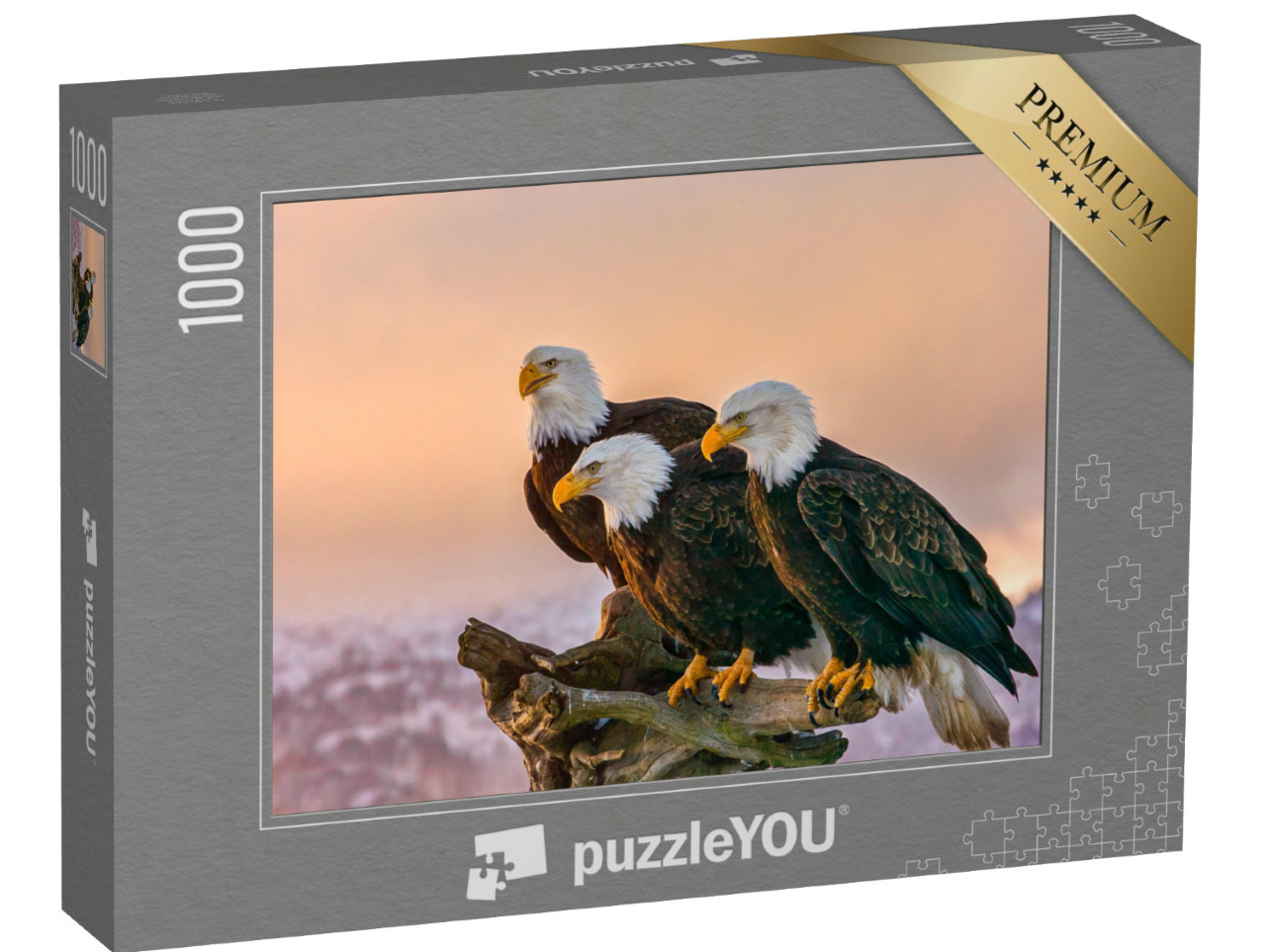Puzzel 1000 stukjes „Drie Amerikaanse zeearenden, Kenai bergen, Alaska“
