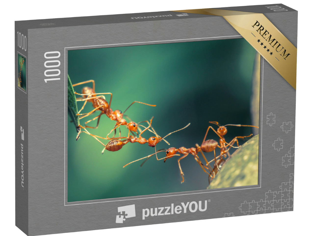 Puzzel 1000 stukjes „Gestandaardiseerde mierenbrug“
