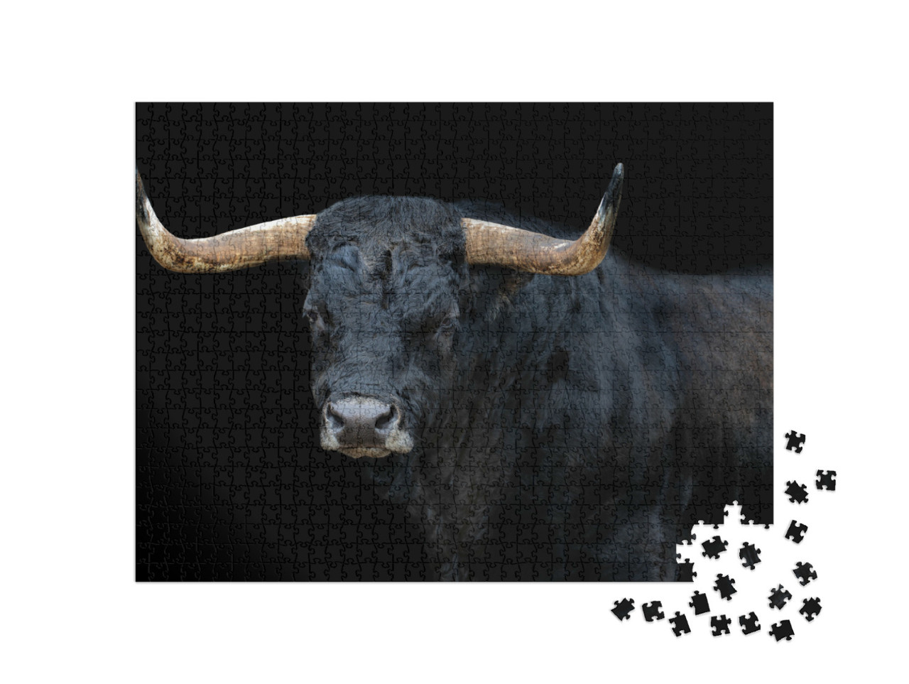 Puzzel 1000 stukjes „Portret van een stier“
