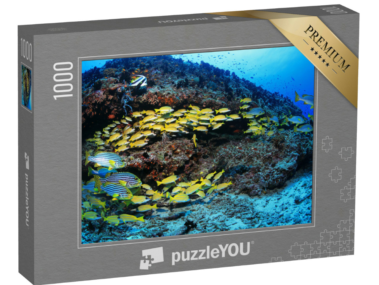 Puzzel 1000 stukjes „Koraalrif met kleurrijke vissen in de Indische Oceaan“