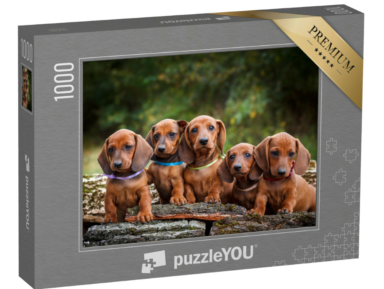 Puzzel 1000 stukjes „Teckelpuppy's zijn schattige dieren“