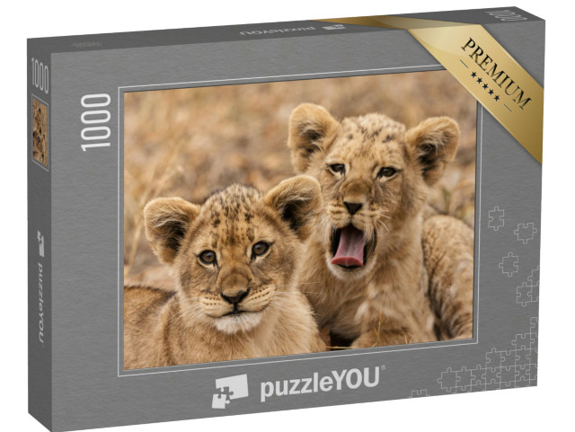 Puzzel 1000 stukjes „Jonge leeuwen“
