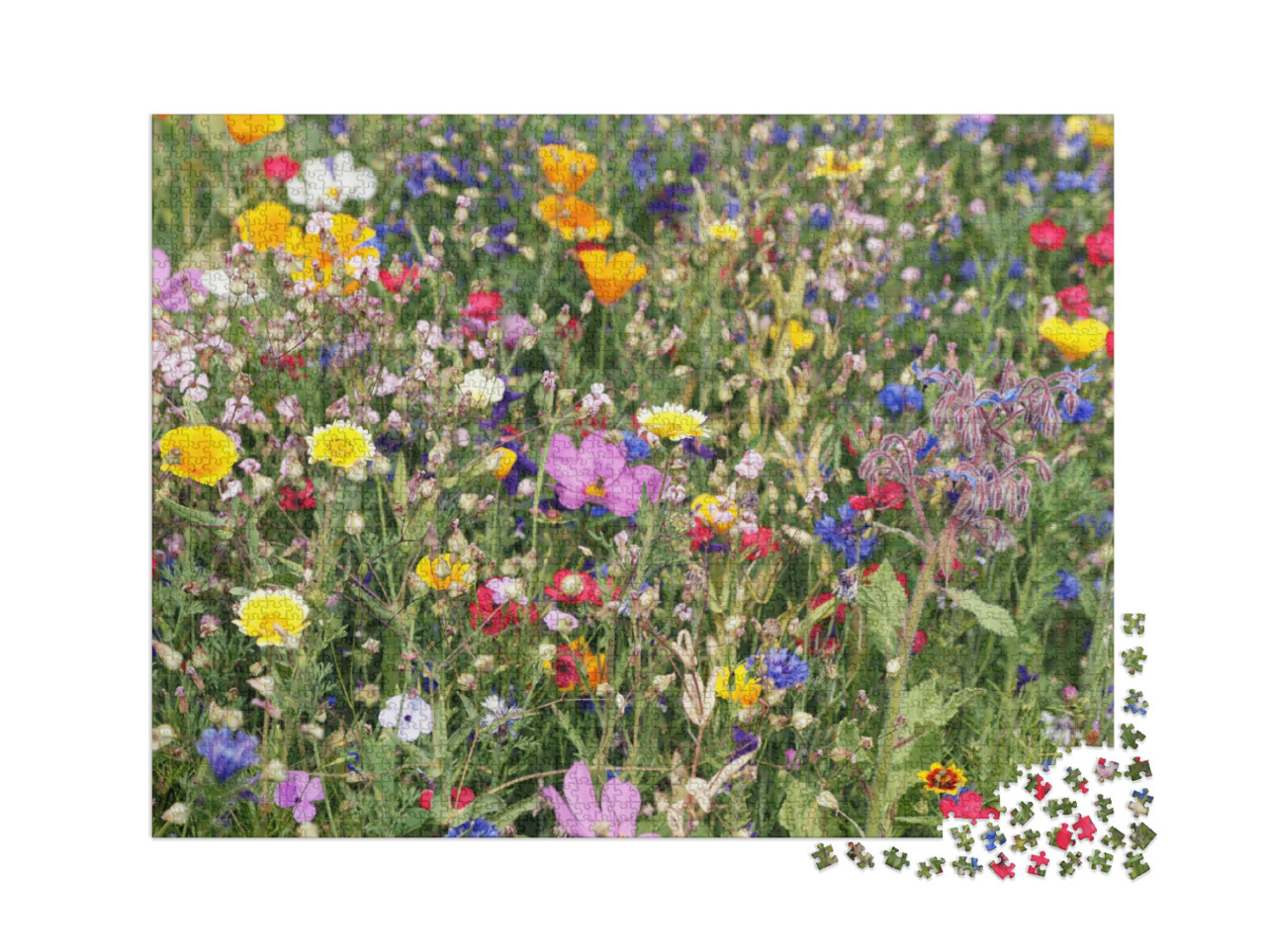Puzzel 2000 stukjes „Een kleurrijke weide met wilde bloemen“