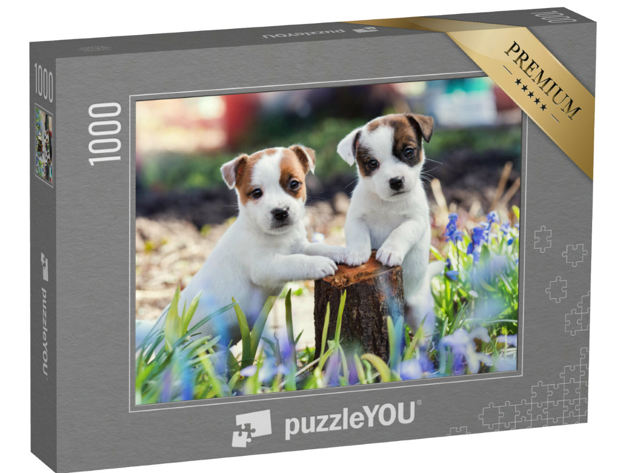 Puzzel 1000 stukjes „Twee schattige Jack Russell puppy's“