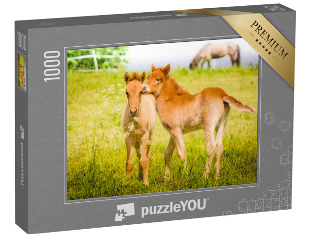 Puzzel 1000 stukjes „Veulens spelen in de wei“